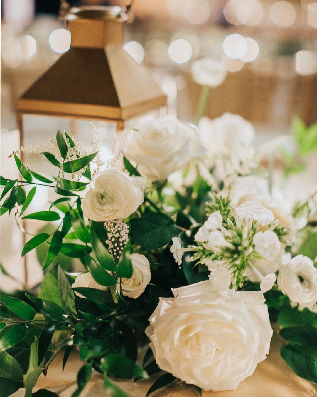 White roses and green leaves arranged in front of a gold lantern with bokeh lights.