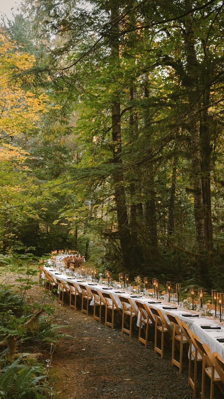 7 Long Table Wedding Reception Ideas for Outdoor Celebrations 5 A long wedding reception table decorated with candles set along a path in a dense green forest.